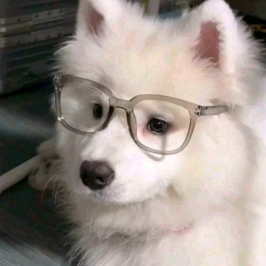 梦醒又如初