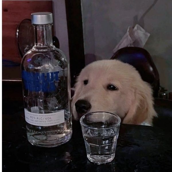 ღ