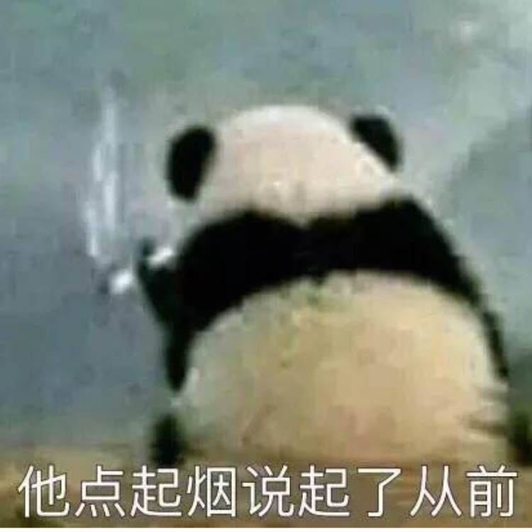 哈士奇啊v