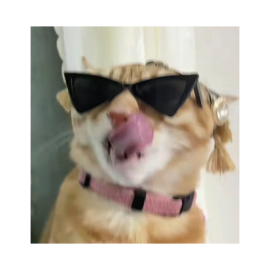 吃我一发波导弹