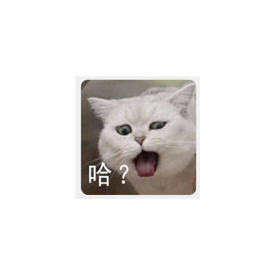 今天来点什么？