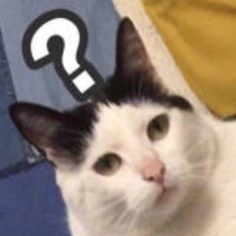 薛定谔的猫
