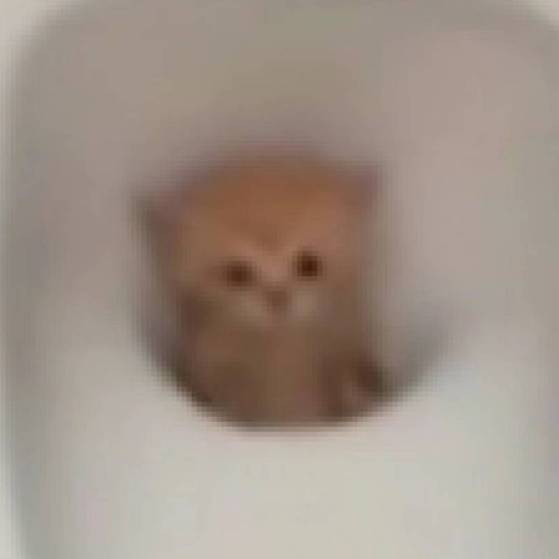 渡边灯月