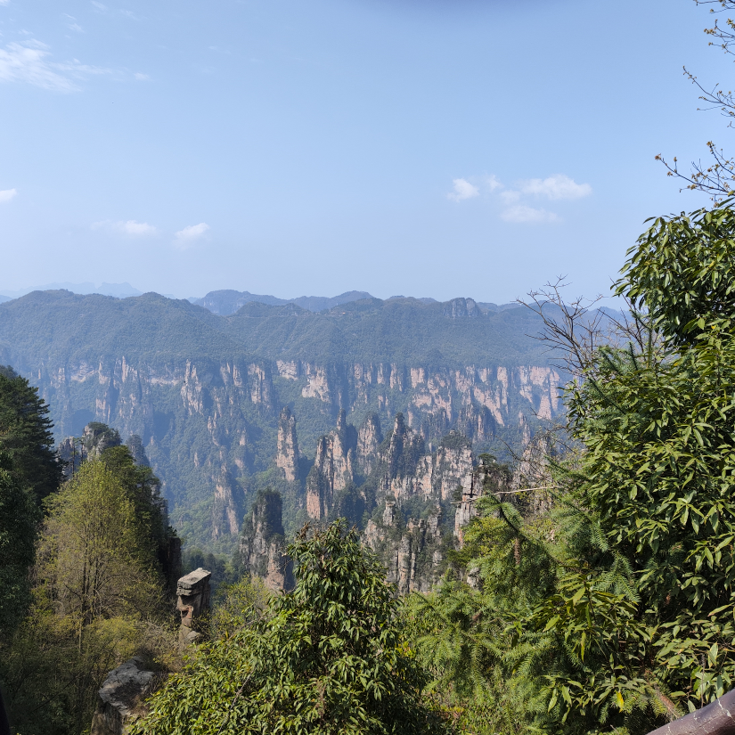 沫沫