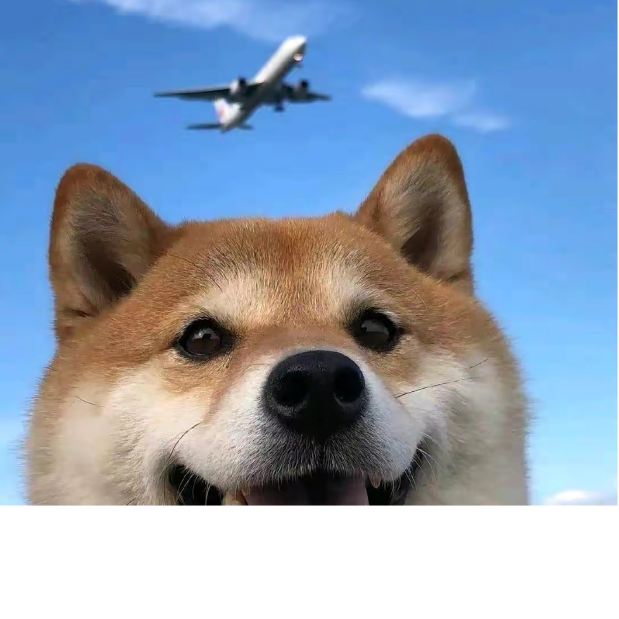 风霜心上