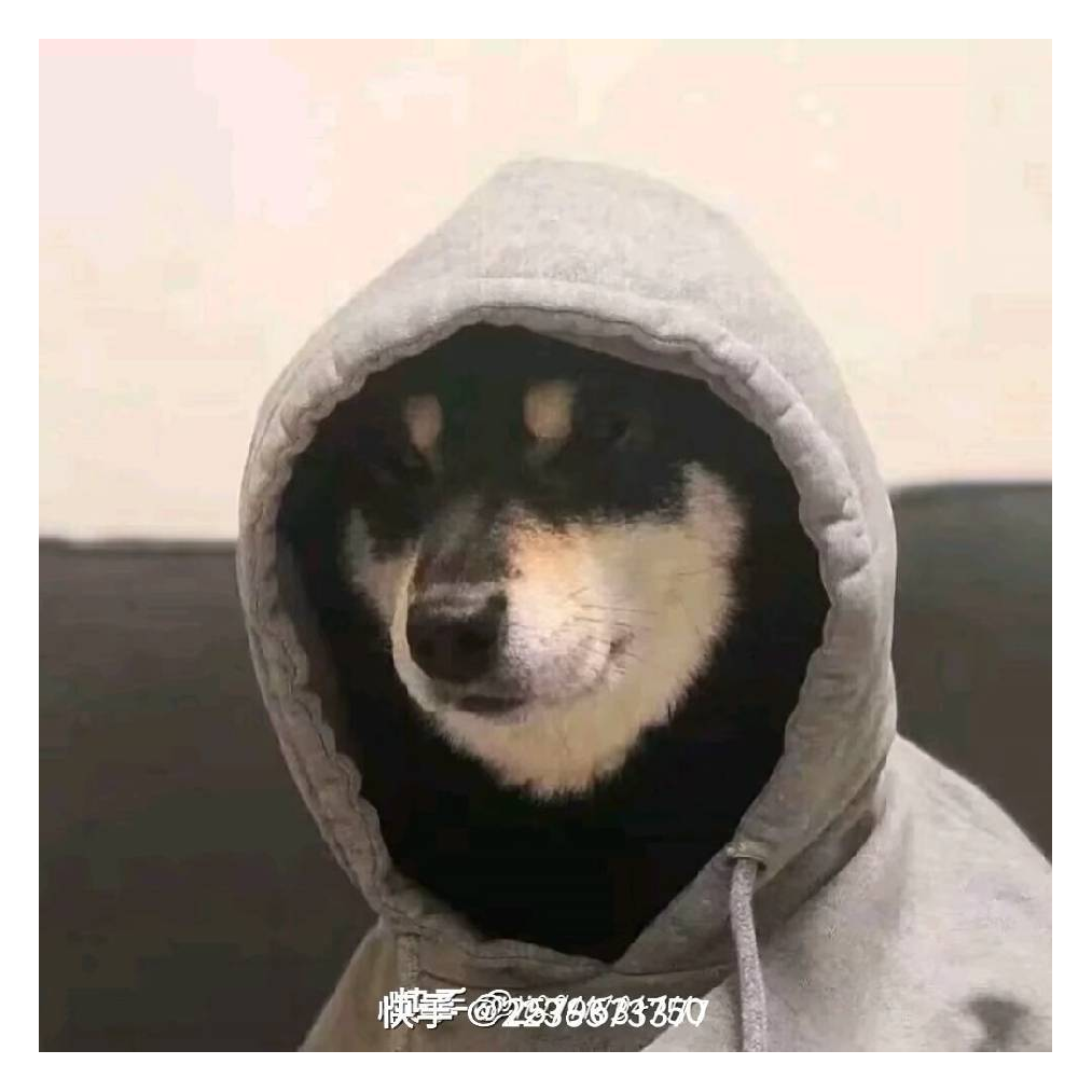 一只菜🐶