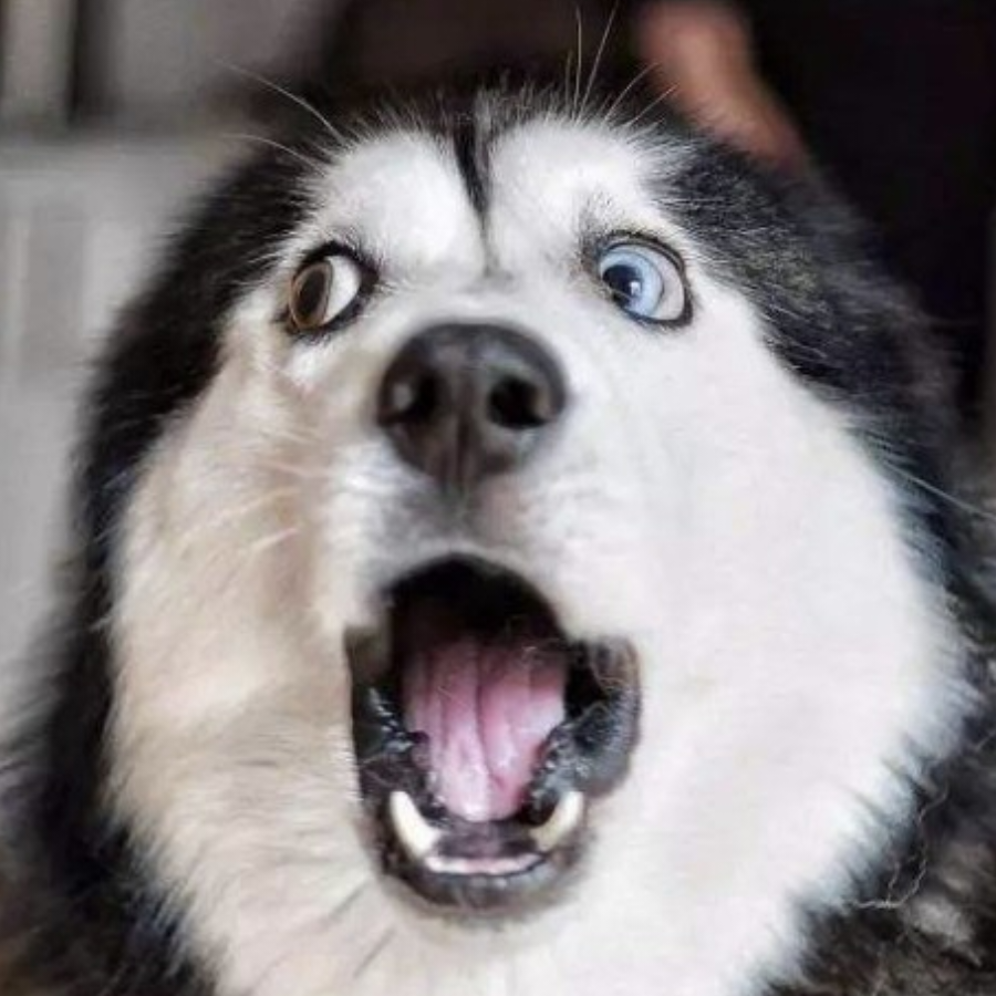 咸鱼