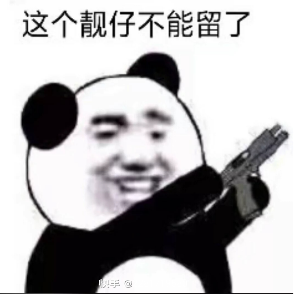 龙的传人