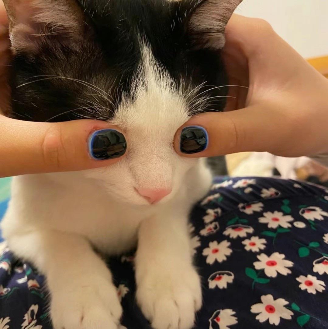 繁安