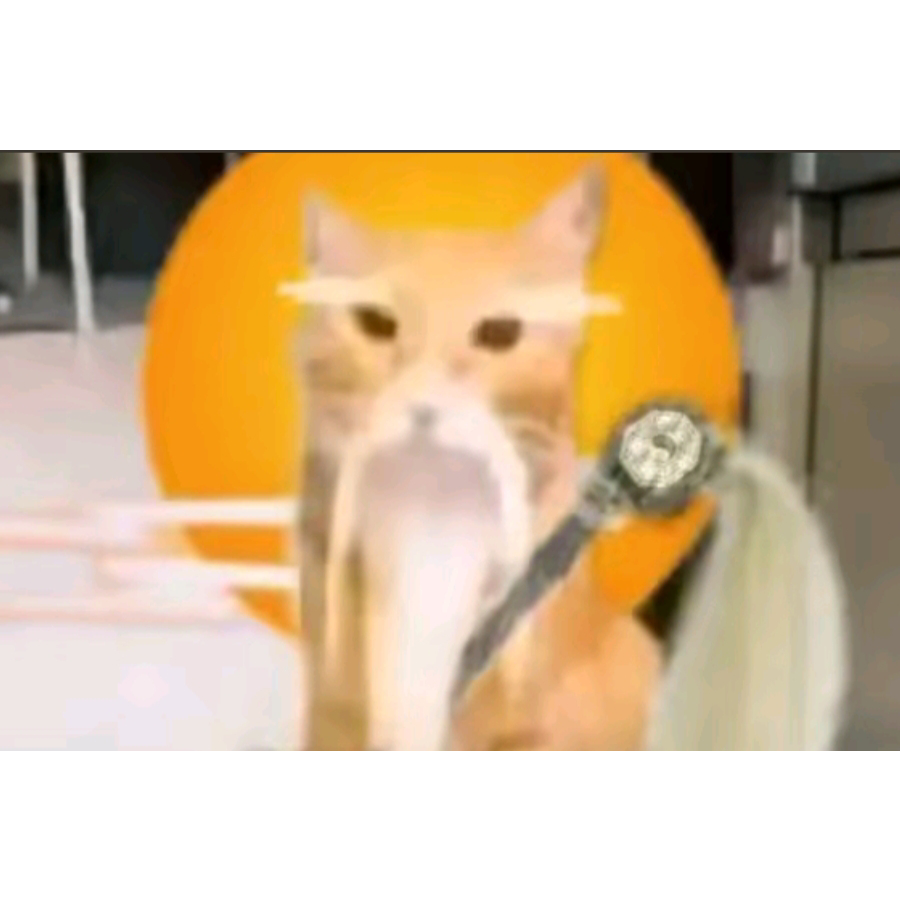 手机用户57868256