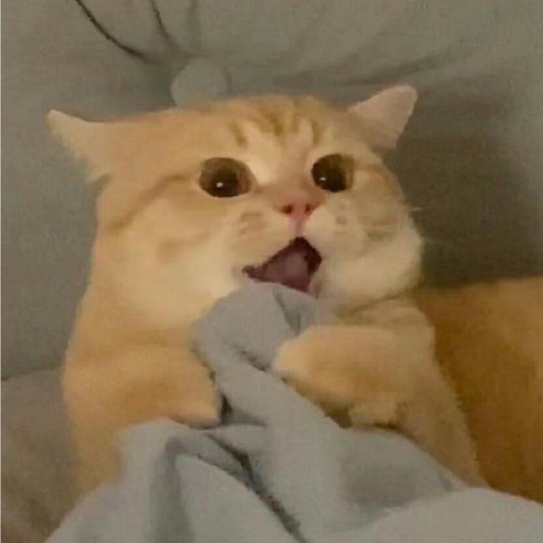打咩！打咩呦ヾ(༎ຶД༎ຶ)ﾉ