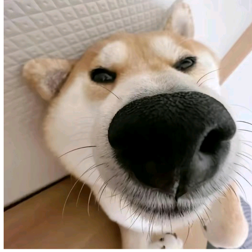 沙粒啊