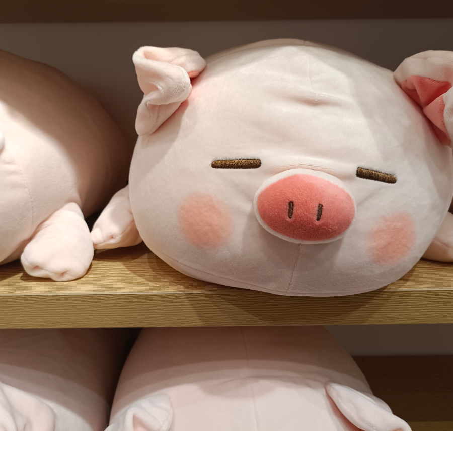 猪🐷