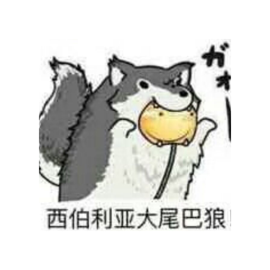 菜狗子