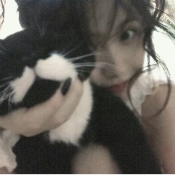 沉鸡落鱼王少