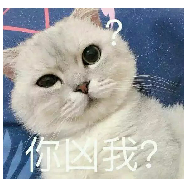 崎鹿♥