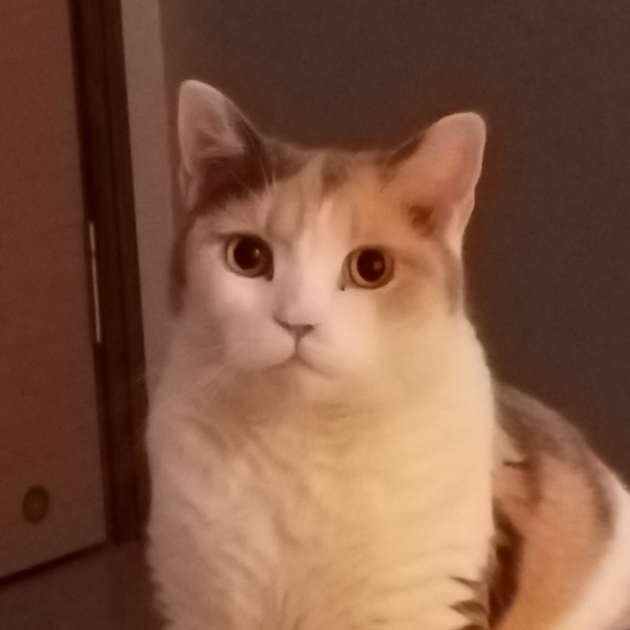 马猴烧酒甜老师