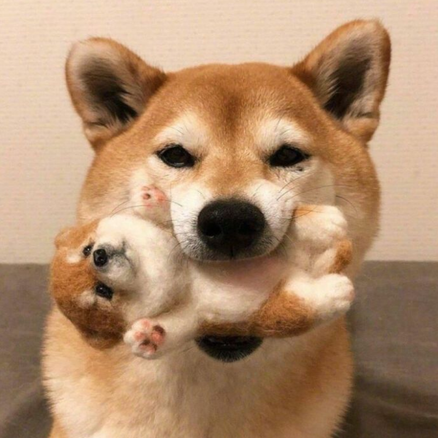 白羽