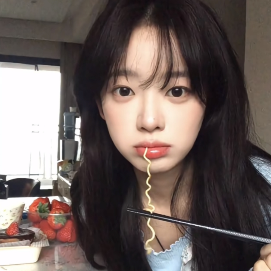 单子猫猫不会梦到罐头