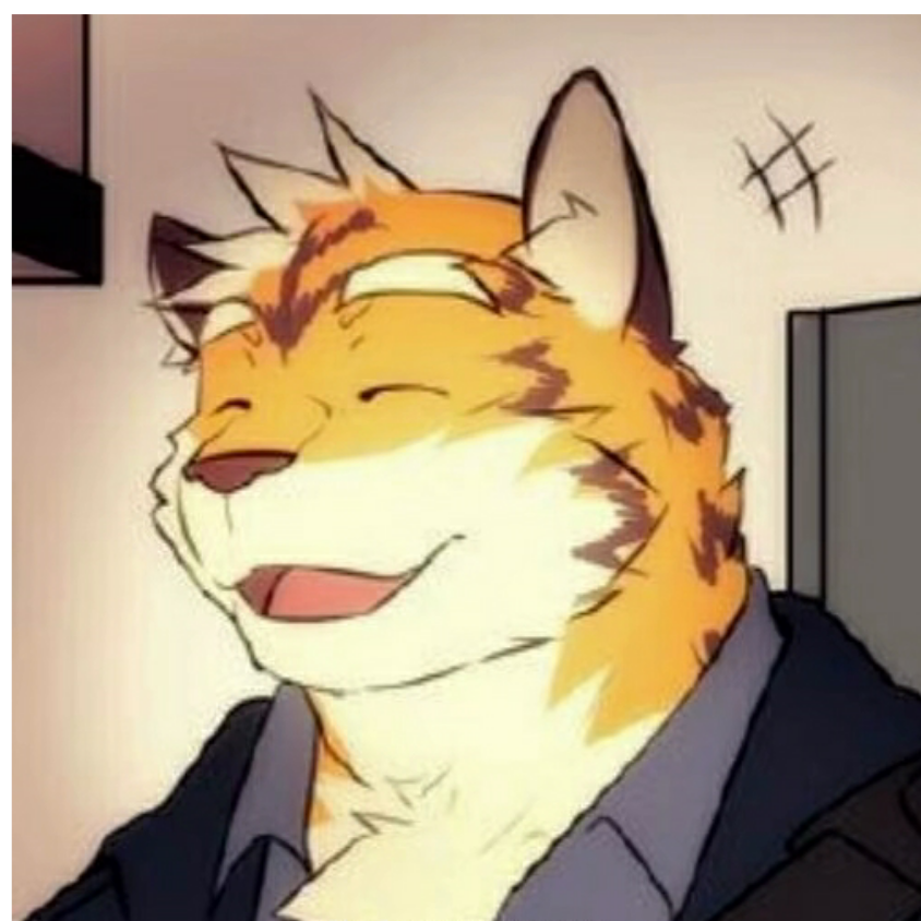 雛綩