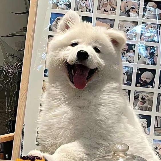 肆乙柒汀