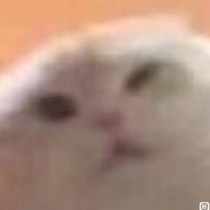 樊华华华华华