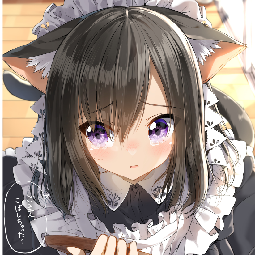 绫小猫