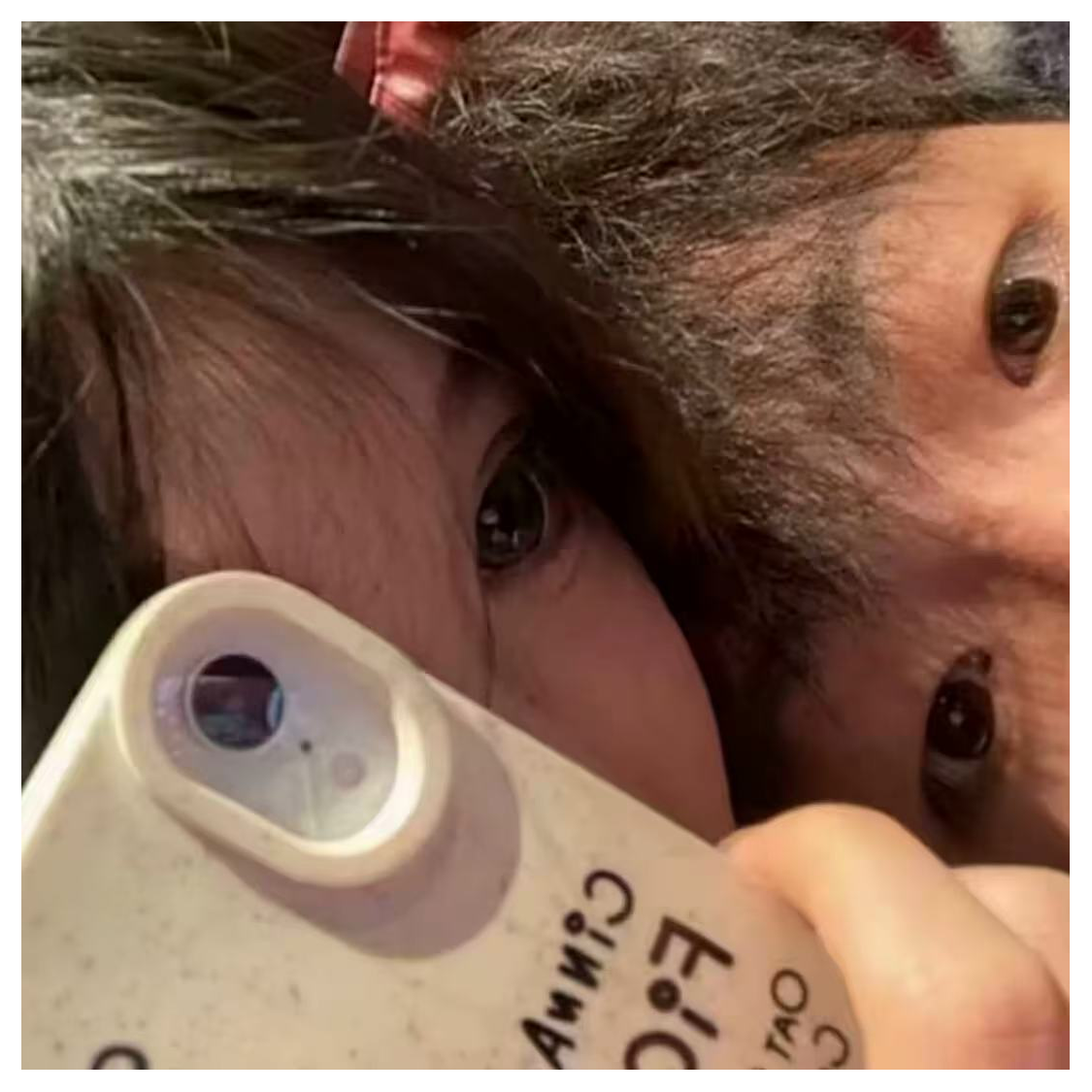 舍身薄凉客