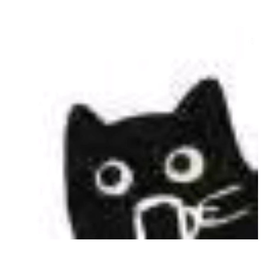 南