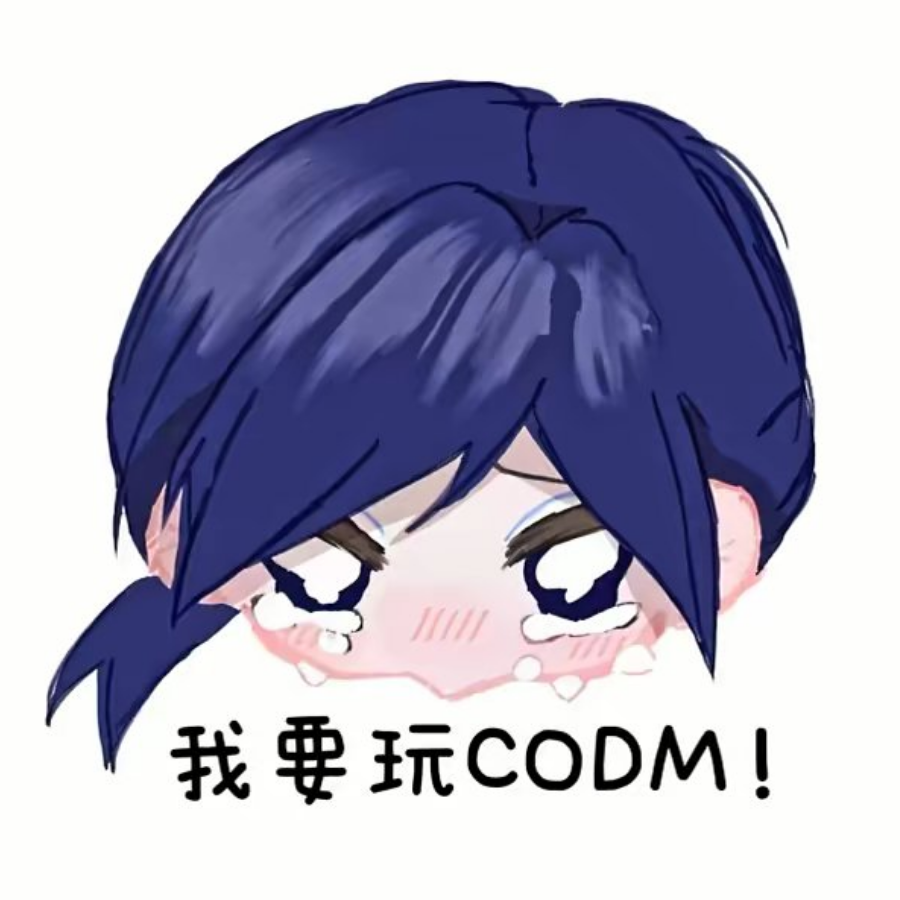 想玩coDm