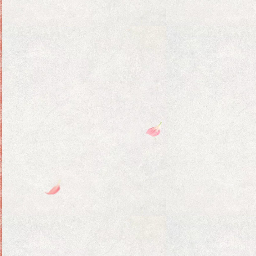 海里绿壳