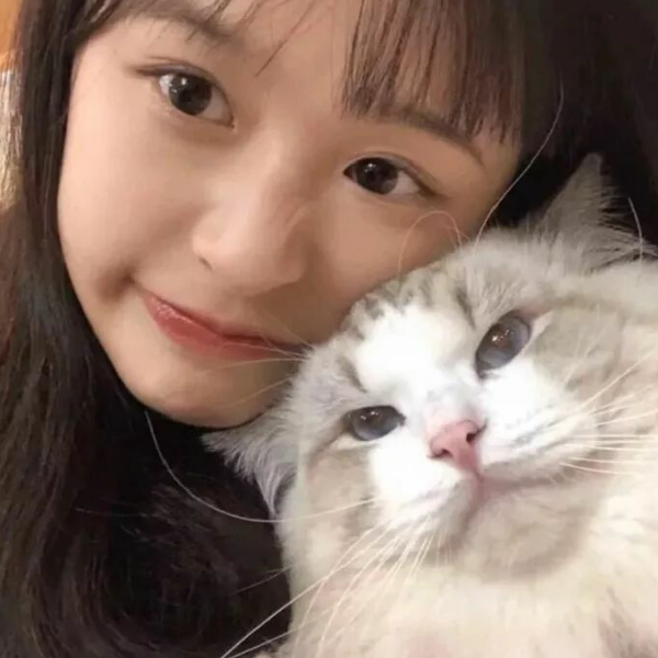 楠桉.