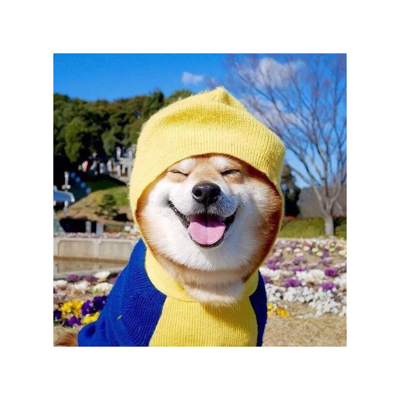 飘来荡去