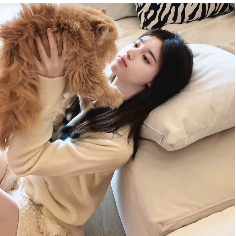 冰裳