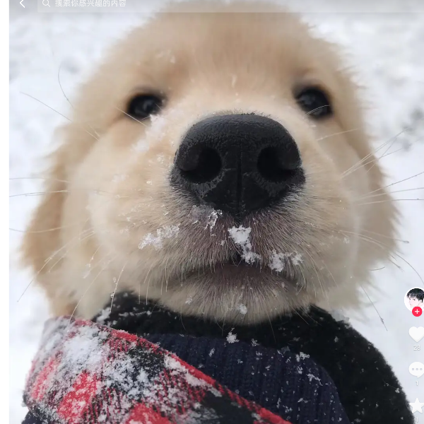 ぁえおあう