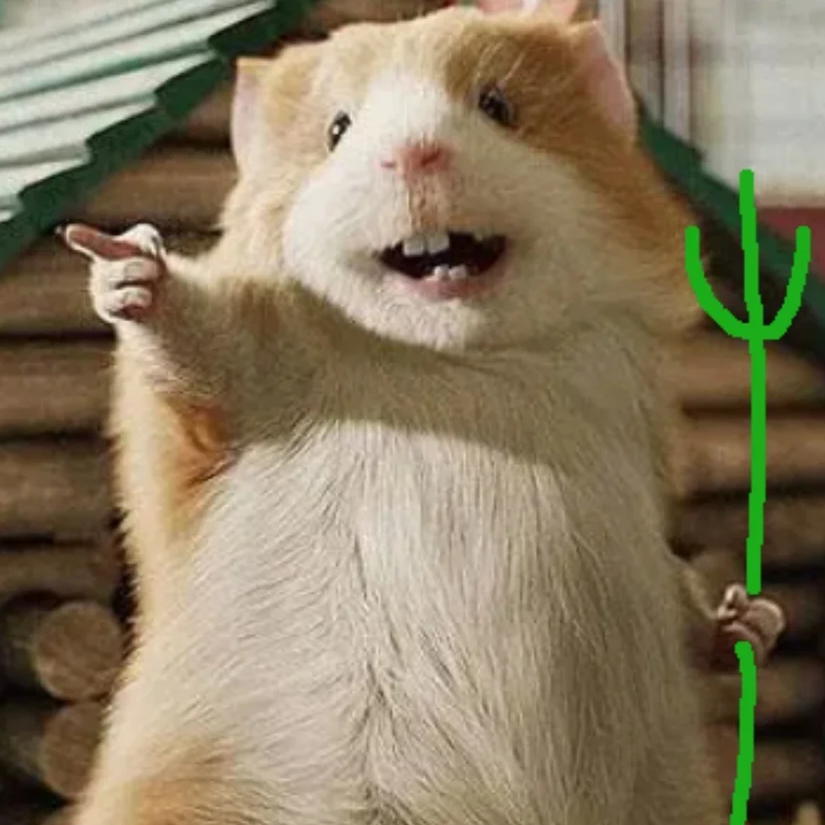 手机用户62507846