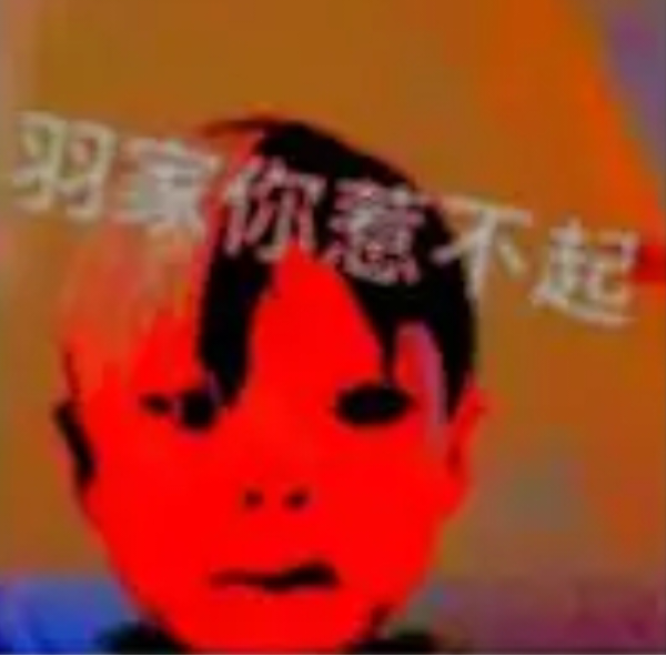 巡泶