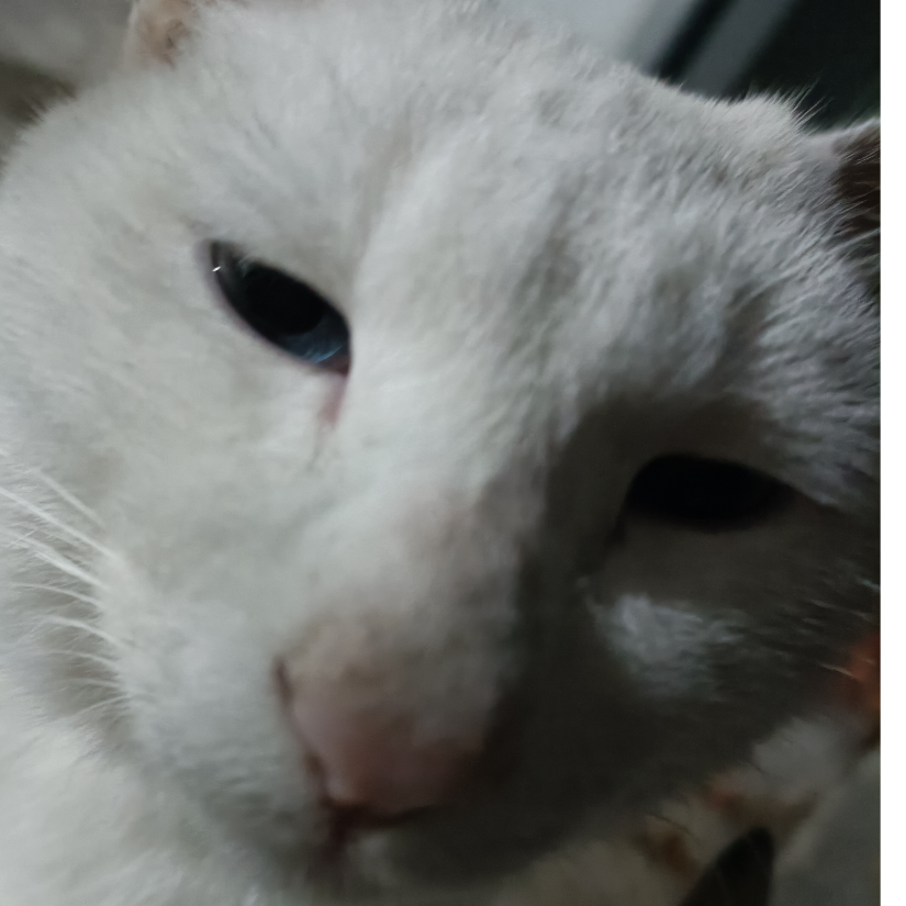 江悟