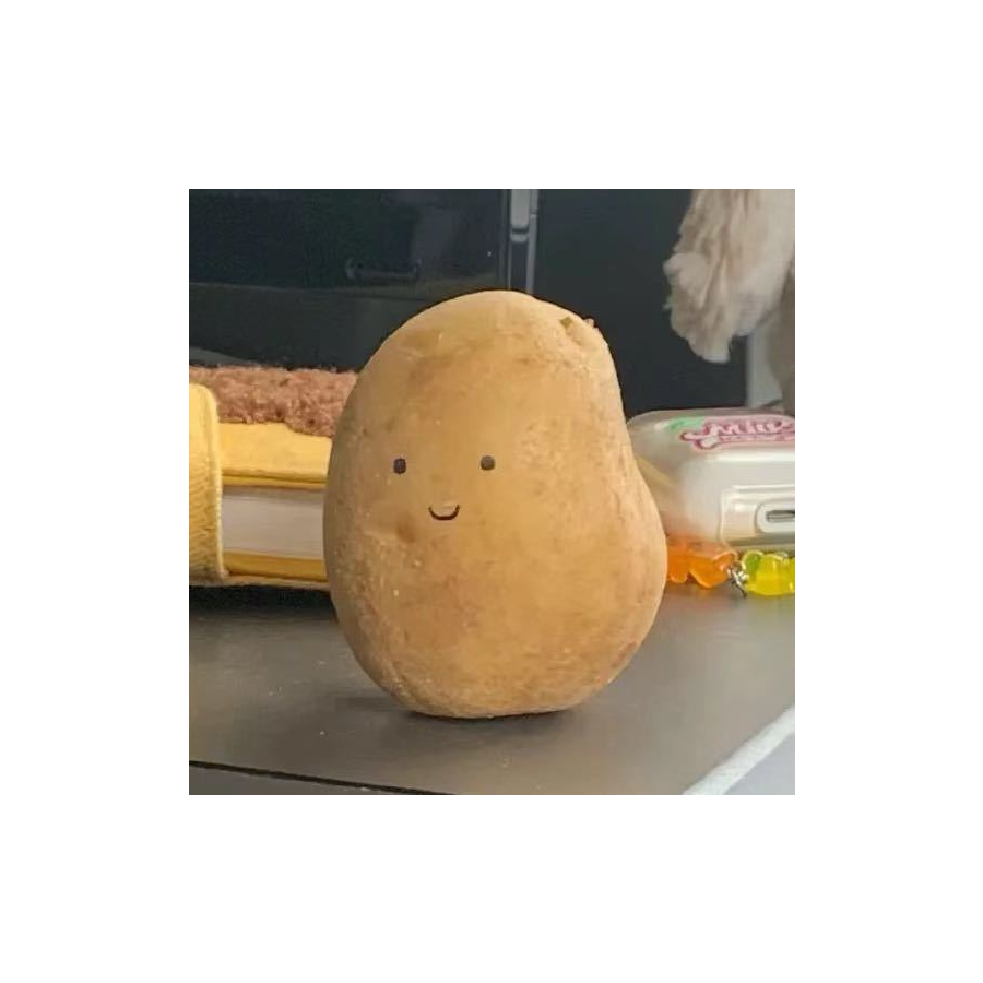 小琪