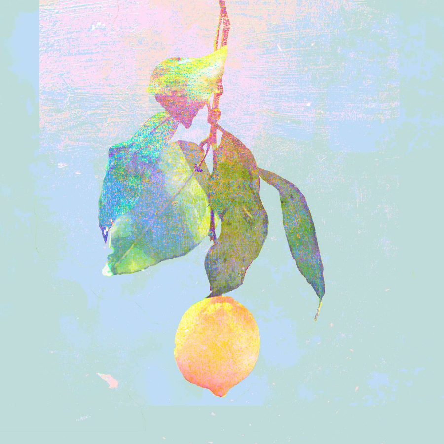 腐草