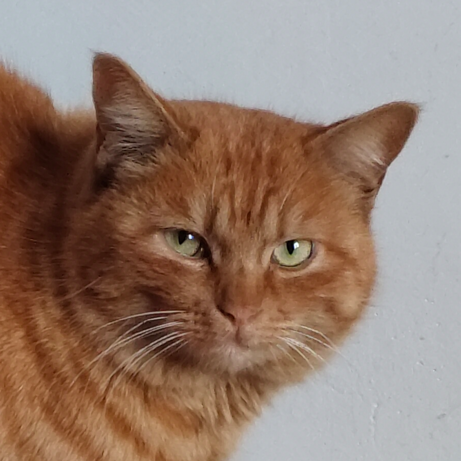 予