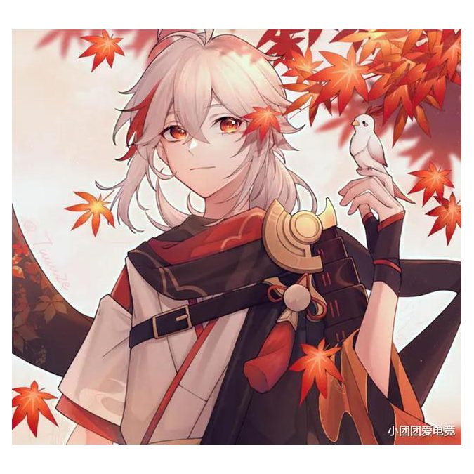 月下寻光