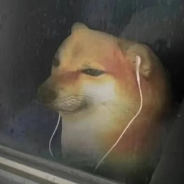 卓