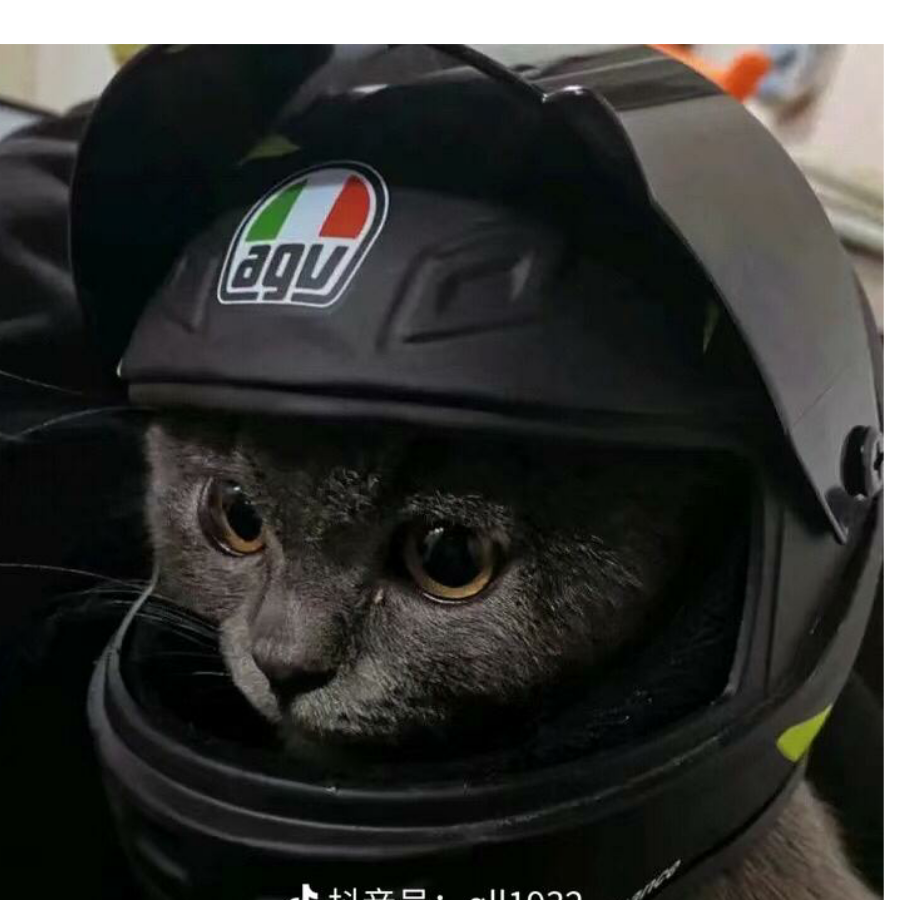 郑..