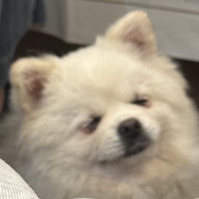 Guapi