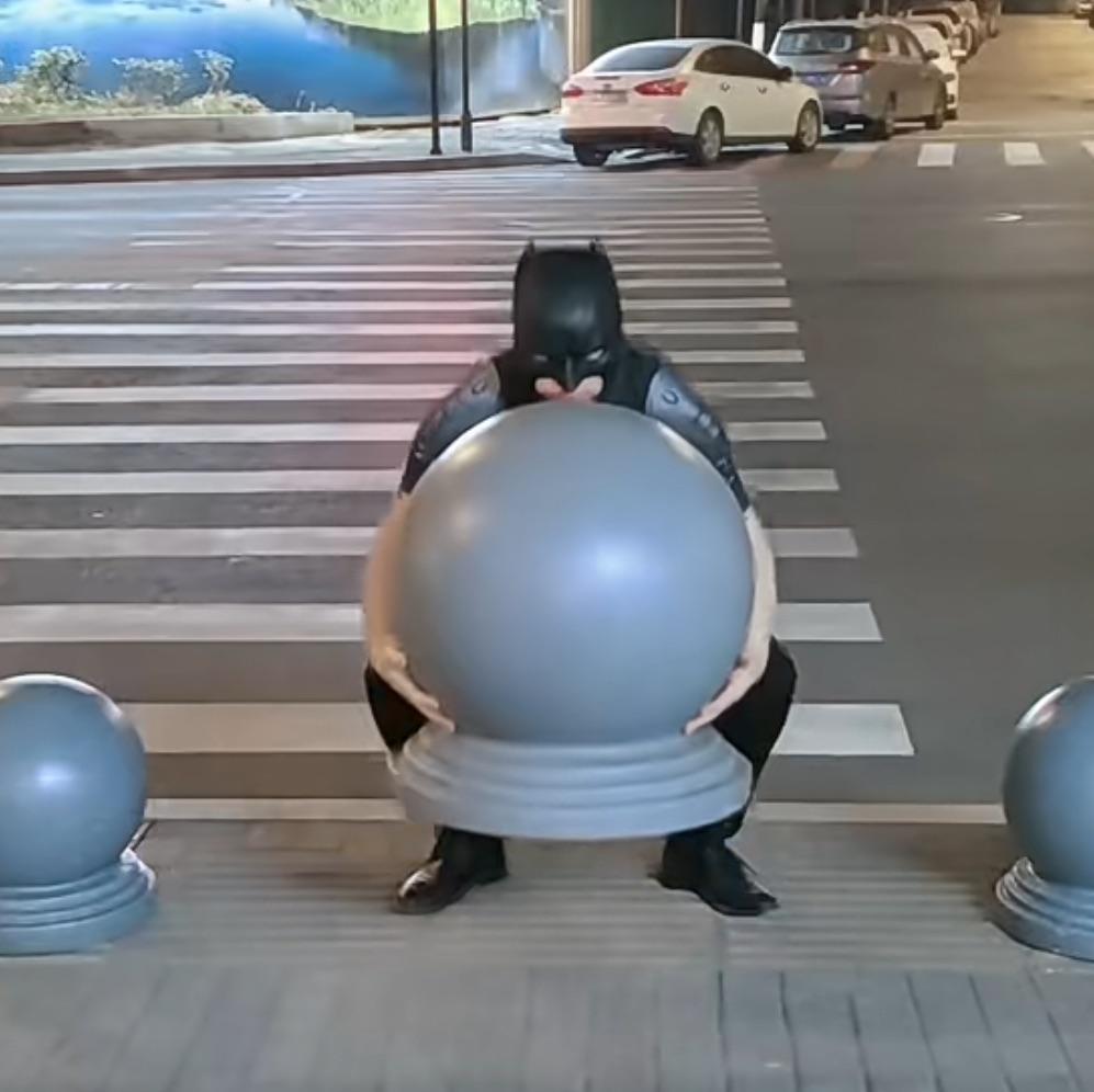 龙行自在