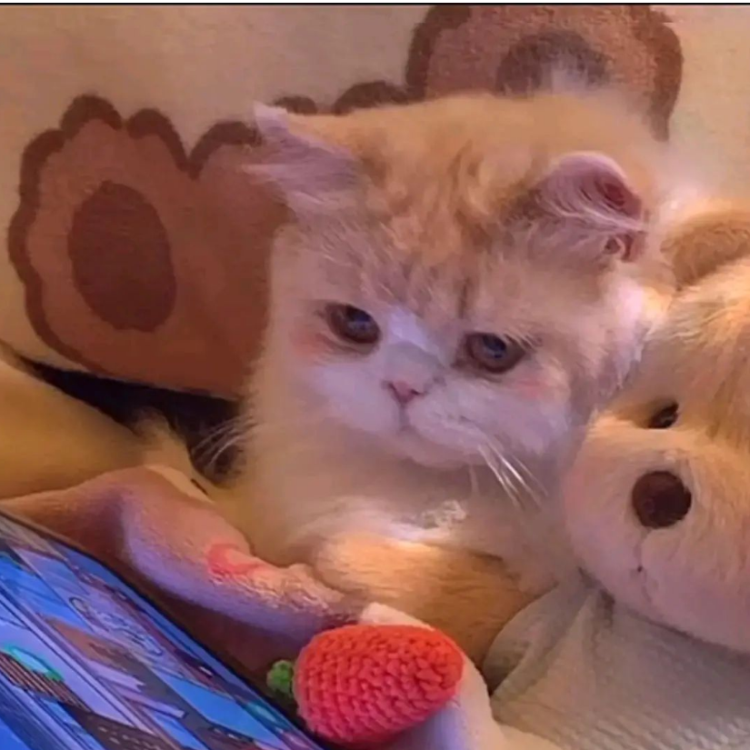 阿殊