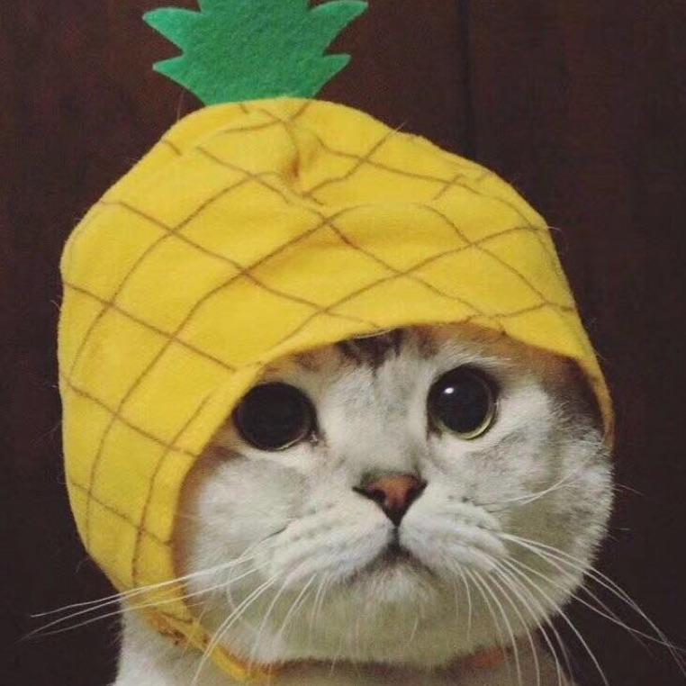 么得感情的菠萝🍍头
