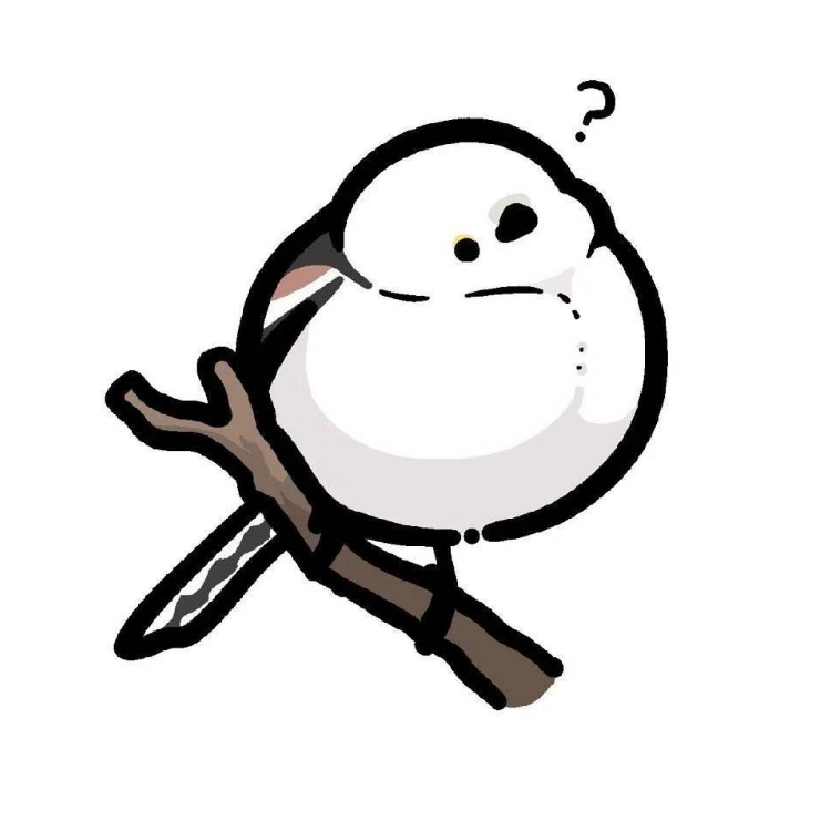 文狸