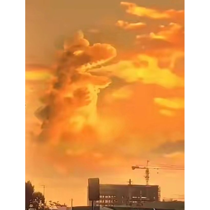 燕燕